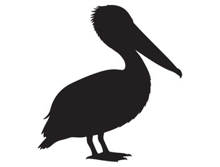 PELICAN SILHOUETTE