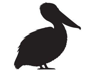 PELICAN SILHOUETTE
