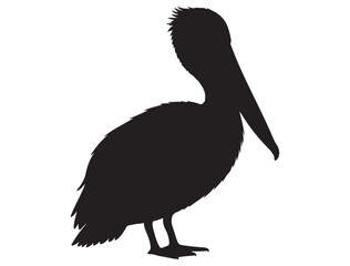 PELICAN SILHOUETTE