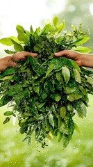 Freshly Harvested Herbs and Greens A Bountiful Gathering of Nature's Goodness