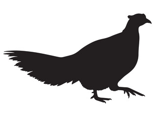 PHEASANT SILHOUETTE