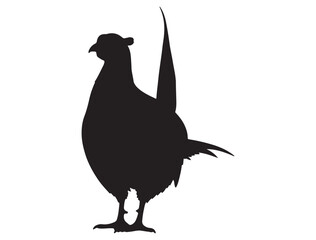 PHEASANT SILHOUETTE