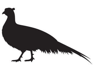 PHEASANT SILHOUETTE