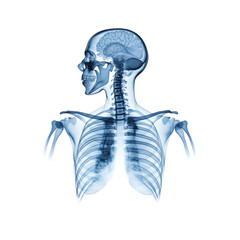 X-ray film showing human chest transparent background in medical environment side view concept