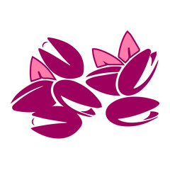 Fototapeta premium pistachio