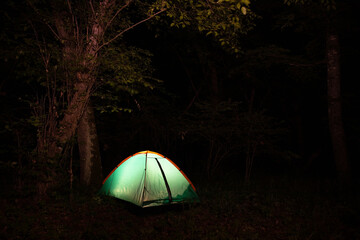 Glowing tent at night in the forest.