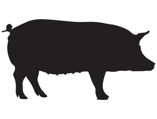 PIG SILHOUETTE