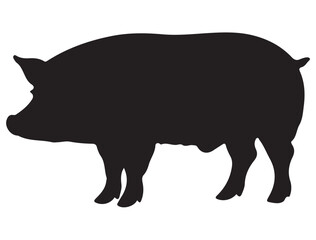 PIG SILHOUETTE