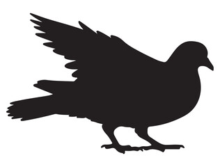 PIGEON SILHOUETTE 