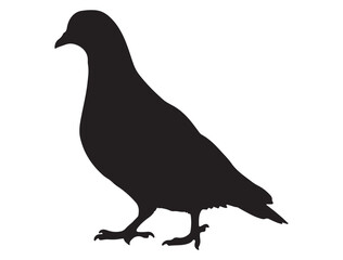 PIGEON SILHOUETTE 