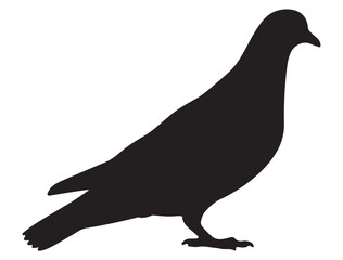 PIGEON SILHOUETTE 