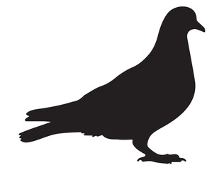 PIGEON SILHOUETTE 