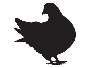PIGEON SILHOUETTE 