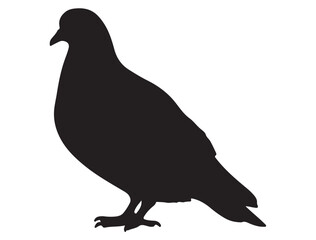 PIGEON SILHOUETTE 