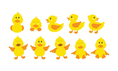 Collection of Playful Yellow Ducklings in Various Poses