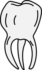 molar tooth outline vector illustration for dental care, hygiene clinic, education poster, or oral health icon set
