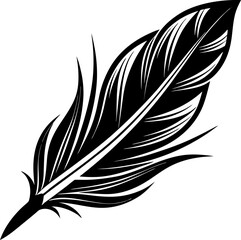 Obraz premium feather on white background