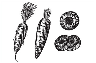 Vintage hand-drawn Onion illustration in engraving style. Detailed black and white sketch ideal for vegetables organic packaging, botanical prints, and healthy food design.