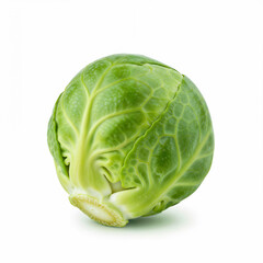 Fototapeta premium Brussels sprout is isolated a vibrant green color with intricate leaf textures and subtle shadows