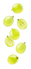 Green grapes falling isolated
