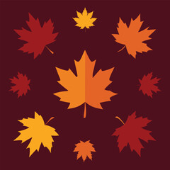 Colorful Maple Leaves Arranged on Dark Red Backdrop for Canada Day Celebration