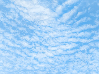 Bright blue sky filled with soft, scattered white clouds, creating a light and airy pattern across the sky.