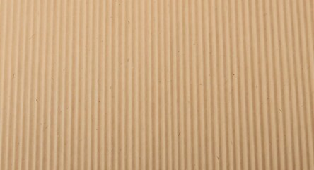 Fototapeta premium Close-up of Corrugated Cardboard Texture