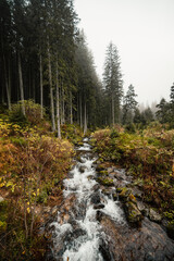 Obraz premium Liptov region hiking in jasna in Low Tatras mountains landscape, slovakia.