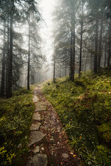 Naklejka premium Liptov region hiking in jasna in Low Tatras mountains landscape, slovakia.