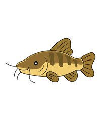 Cartoon Catfish Illustration