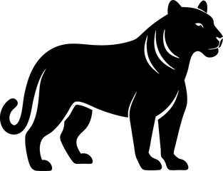 vector illustration of a tiger