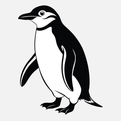 Illustration of a penguin standing on a white background