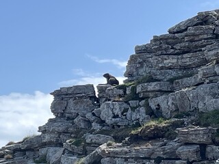 Wanderung im Rofangebirge