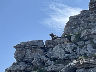 Wanderung im Rofangebirge