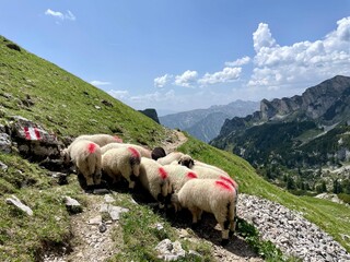Wanderung im Rofangebirge