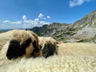 Naklejka premium Wanderung im Rofangebirge