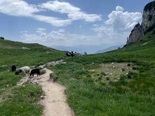 Wanderung im Rofangebirge