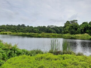 nature in Singapore