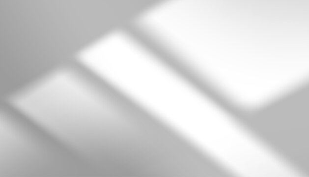 Shadow silhouette and soft light on white wall,Abstract background of blurry window shadow frame with sunlight effect,Vector backdrop for multiply on studio background White interior wall