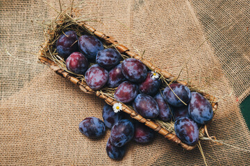 Fresh plums in a wicker basket, emphasis on bloom, shape and colour of the fruit, soft side lighting with space for copying