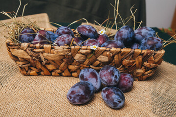 Dark blue peppers in the basket on the table, accentuated by the texture of the skin