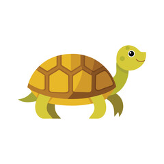 Flat and Minimal tortoises icon vector illustration on white 