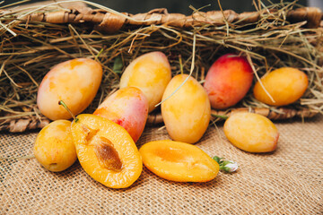 Juicy yellow plums in a wicker basket on a wooden table, natural light, emphasis on bright color and smooth skin close-up