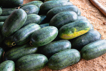 Harvesting fresh cucumbers at local market agriculture showcase natural setting close-up view