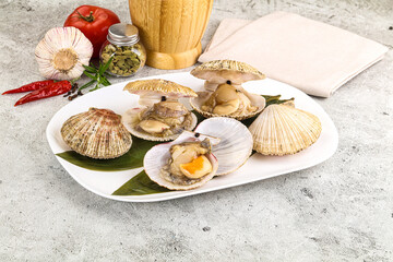 Raw fresh scallops in the shell