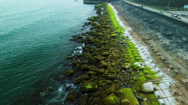 Powerful waves surging against algae covered tetrapods, forming protective coastal barrier blocking erosive marine forces and preserving rocky shoreline landscape