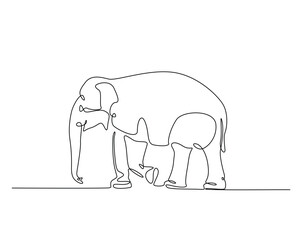 Fototapeta premium Wild elephant outline drawing illustration. one continuous line drawing of elephant.