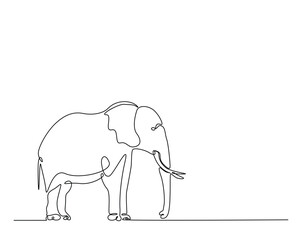 Fototapeta premium Wild elephant outline drawing illustration. one continuous line drawing of elephant.