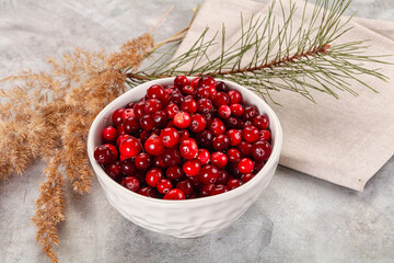 Ripe sweet sour cranberry heap