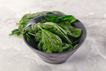 Raw green baby spinach plant